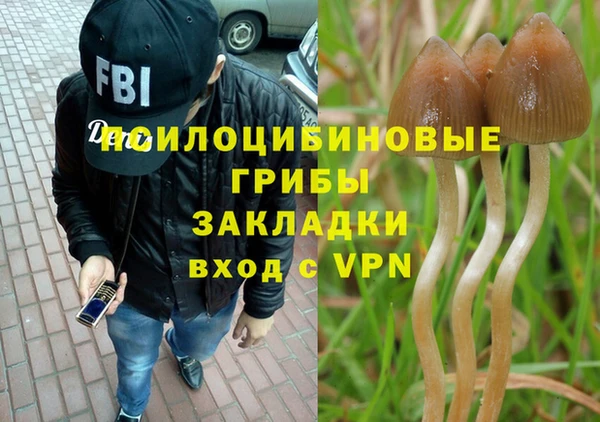PSILOCYBIN Алексеевка