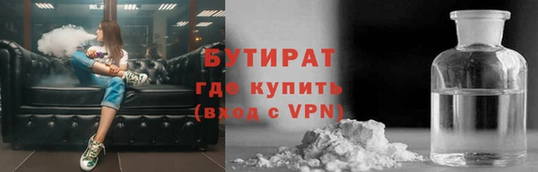 индика Алексин