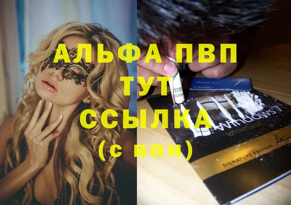 индика Алексин