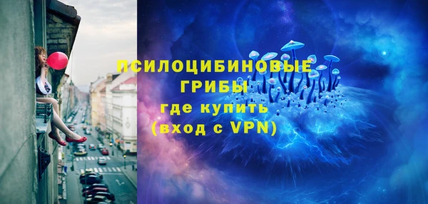PSILOCYBIN Алексеевка