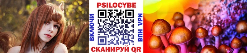 наркошоп  Кувшиново  Галлюциногенные грибы Psilocybe 